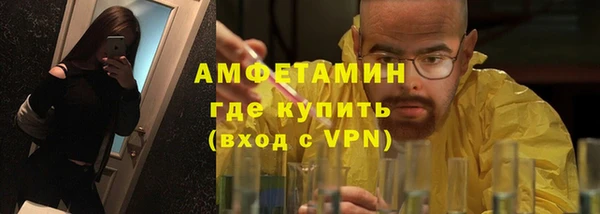 сатива Аркадак