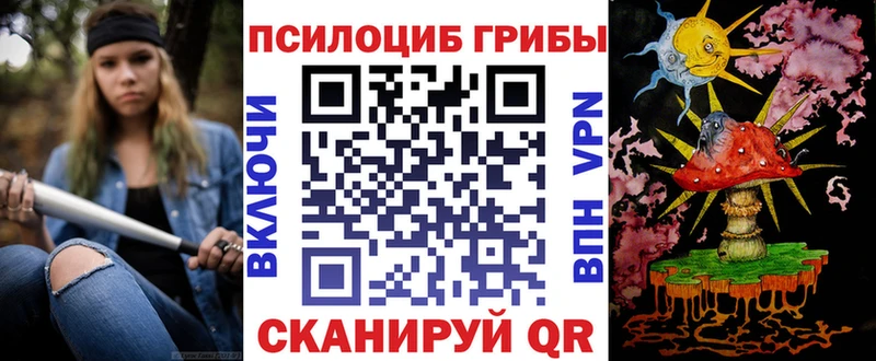 Купить  Менделеевск  Галлюциногенные грибы Magic Shrooms 